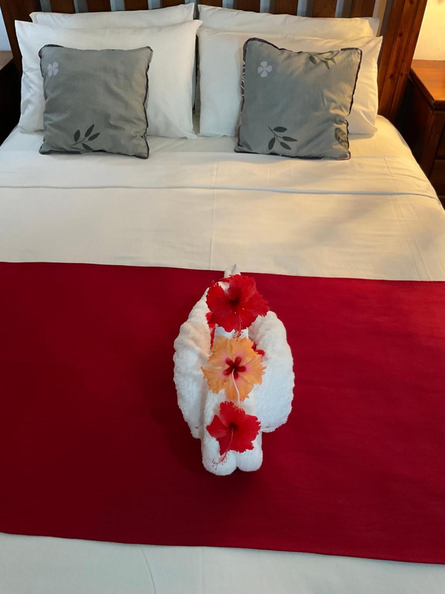 Le Chevalier Bay Guesthouse Анс Лацио Екстериор снимка